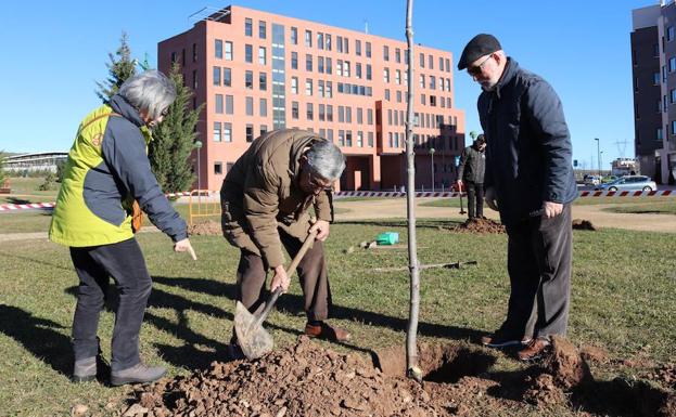 Los afectados de párkinson han colaborado en la plantación/PCR