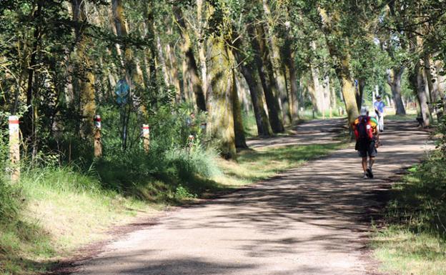 El Cinturón Verde de Burgos sumará 55 hectáreas al incorporar el campo